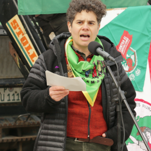 Image: Paula Gioia
