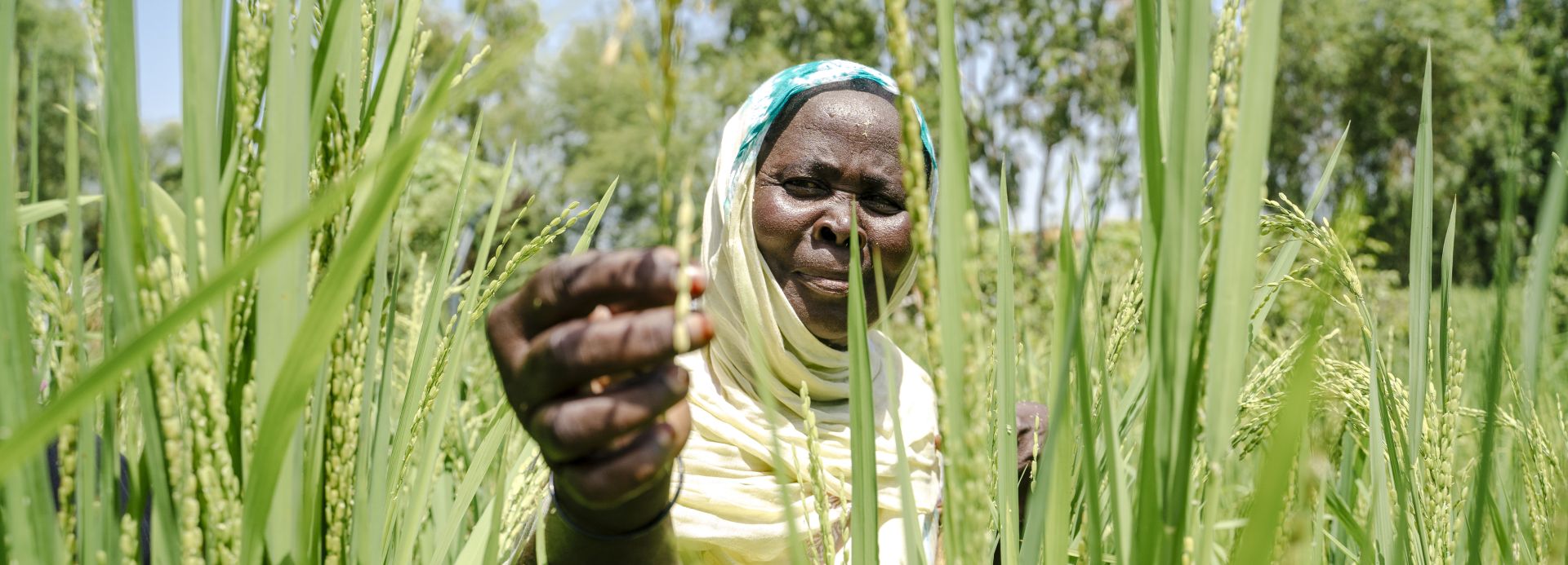 A woman works at the women's cooperative garden developped with local partner The Union of Women's Cooperatives of Guidimakha (UCFG) in Selibabi, Mauritania on september 28, 2022.